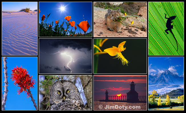 Composite, nature photography.