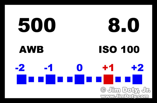 LCD display on a digital camera.