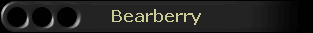 Bearberry