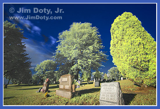 Digital infrared image from combined infrared and color images