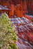 110425_Bryce_Canyon_5D_8589_w7