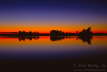 981008_Dusk_Seney_NWR_CBX22_w6