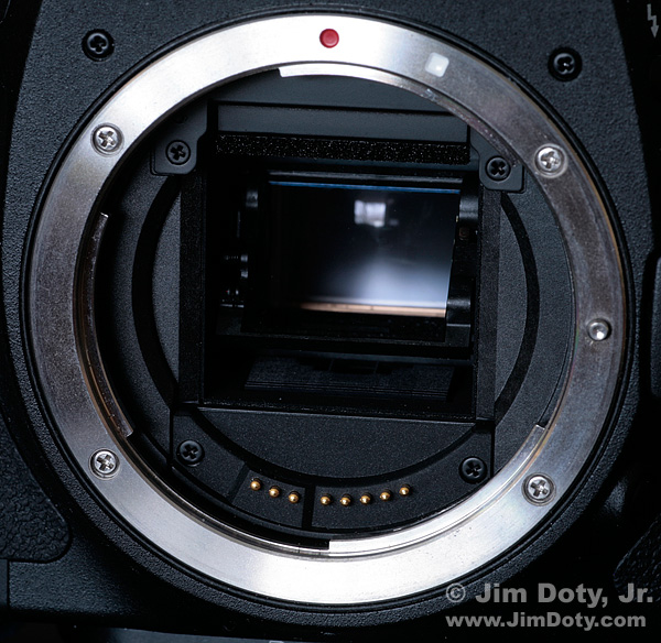 Gold Pins in a Recent Model Electronic Camera That Make Contact with the Lens Connections